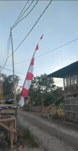 Masyarakat Desa Kamangga Dua Tompaso Keluhkan Kabel PLN Bertumpuk Tanpa Tiang