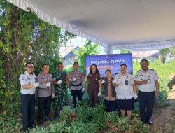 Panen Raya Kacang Lapas Tondano, Warga Binaan Berdaya Dukung Ketahanan Pangan Nasional