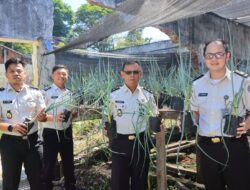 Panen Daun Bawang di Lapas Manado, Warga Binaan Didorong Jadi Mandiri Sekaligus Perkuat Ketahanan Pangan Nasional