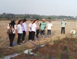 Wakil Bupati Minahasa Vanda Sarundajang Turun Tangan, Bantu Petani Parepei Atasi Kekeringan