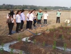 Wakil Bupati Vanda Sarundajang Turun Langsung ke Parepei, Bantu Petani Hadapi Kekeringan El Nino”
